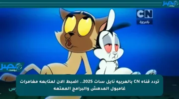 تردد قناة CN بالعربية نايل سات 2025.. اضبط الآن لمتابعة مغامرات غامبول المدهش والبرامج الممتعة